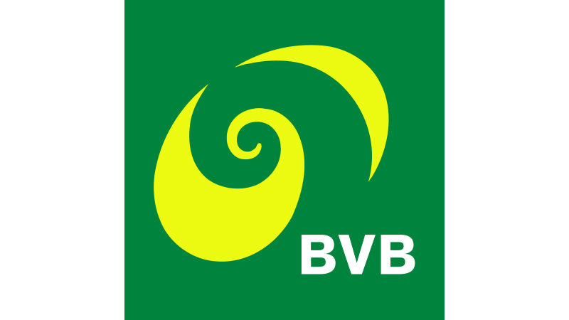 Basler Verkehrsbetriebe BVB